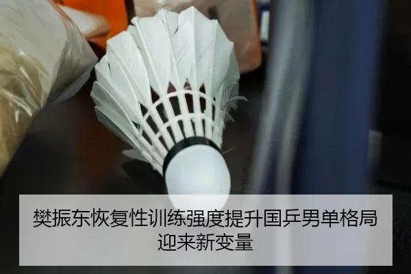 樊振东恢复性训练强度提升国乒男单格局迎来新变量
